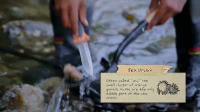 {\an8}Uh, we can garnish dishes
with it, - Chefs vs Wild