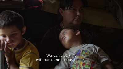 {\An8}We can't survive
without them in this desert. - Honeyland