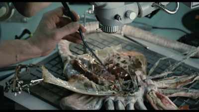 {\an8}We got one of the original
facehuggers to use as reference. - Aliens Expanded