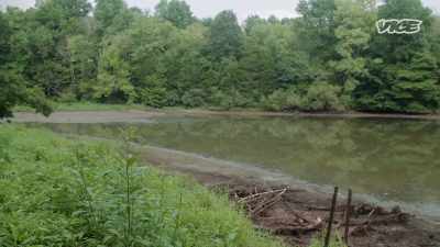 {\an8}-We're surrounded
by really tall trees here, - Small Town Secrets