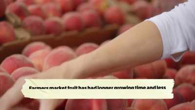 {\an8}When I'm picking out
fruits and vegetables - What Am I Eating? With Zooey Deschanel