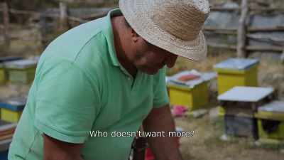 {\An8}Who doen't want more? - Honeyland