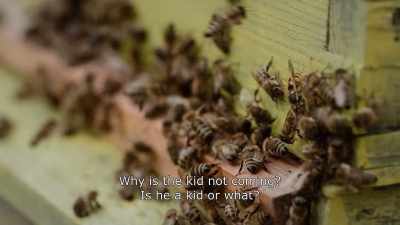 {\An8}Why is the kid not coming?
Is he a kid or what? - Honeyland