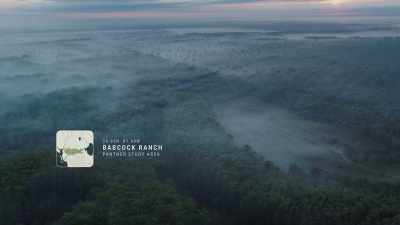 {\an8}(wildlife calls throughout) - Path of the Panther