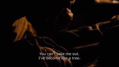 {\An8}You can't take me out.
I become like a tree. - Honeyland