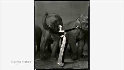 {\an8}You've seen an Avedon before
even if you don't recognize it. - The Super Models