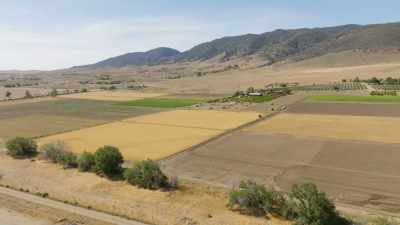 {\an8}[Zooey] Before modern
agriculture and transportation - What Am I Eating? With Zooey Deschanel