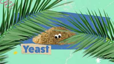 {\an8}[Zooey] Yeast
is wild, all right. - What Am I Eating? With Zooey Deschanel