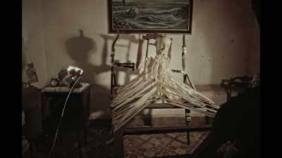 Ana - The Wolf House