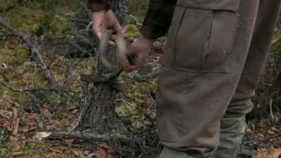 Anchor is just basically
tying it off to a couple trees. - Life Below Zero: Next Generation