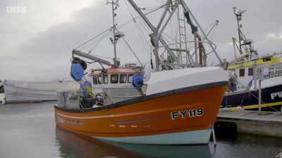Anchovy fever. Once that
A-word is mentioned, - Cornwall: This Fishing Life