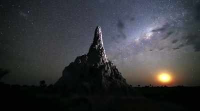 Ancient termite mounds
seem to be the only things impervious - Surviving Paradise: A Family Tale