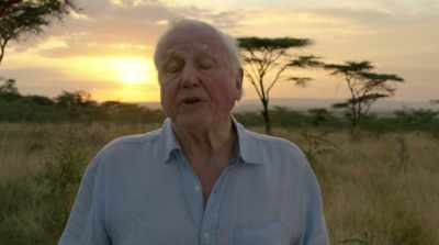 And a few years later,
that idea became obvious to everyone. - David Attenborough: A Life on Our Planet