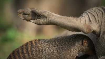and a much-needed deep clean
for the warthog. - Super/Natural