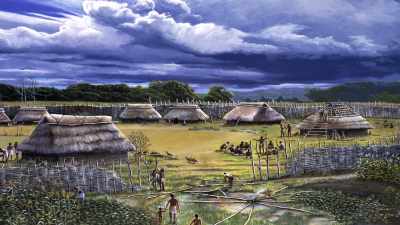 And a successful corn harvest - Secrets of the Underground