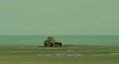 And a truck hit her just like that. - Ode to the Goose