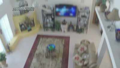 And about a week
before I was to fly home, - Phrogging: Hider in My House