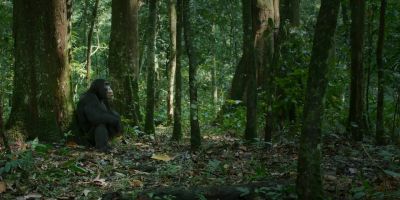 And Abrams is lacking support. - Chimp Empire
