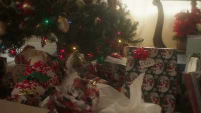 And after, when my life
would never be the same. - A Christmas of Wonders