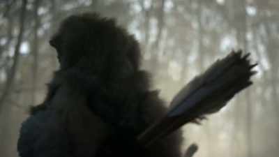 And all that because
of those Viking ships. - Origins: The Journey of Humankind