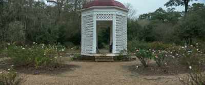 And all those plants
have multiple names - Master Gardener