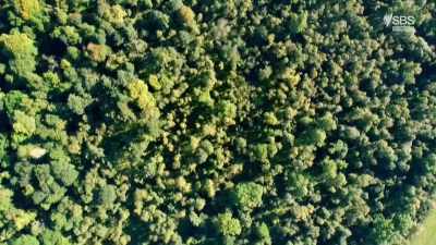 ..and also farmland, - Scotland from the Sky