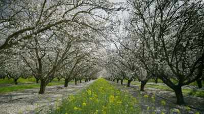 And they also get a more balanced,
healthier diet. - The Green Planet