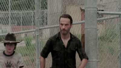 And also because they're
so similar in temperament - The Walking Dead: The Return
