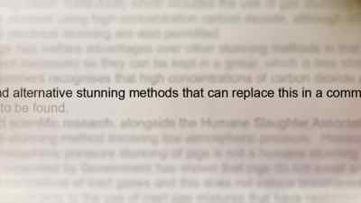 And alternative stunning methods - Pignorant