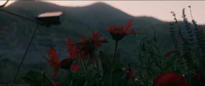 And although they had
absolutely nothing - Three Billboards Outside Ebbing, Missouri