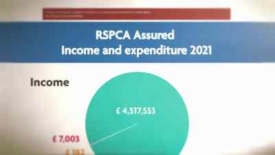 And this amounted to 4.5 million pounds in 2021. - Pignorant