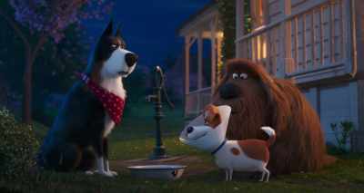 And-and it explains a lot, - The Secret Life of Pets 2
