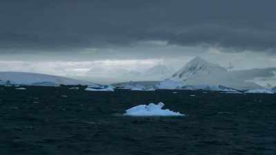 And for Antarctica specifically, - Photographer