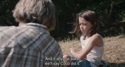 And if anyone asks,
we'll say Cocó did it. - 20,000 Species of Bees