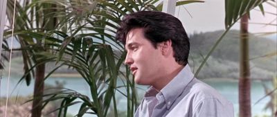 And anyone could tell - Clambake