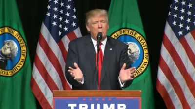 - And has anyone ever
heard of Linsdey Graham? - Trump: The Art of the Insult