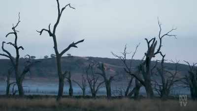 And apparently a key inspiration
for Carey's book - Books That Made Us