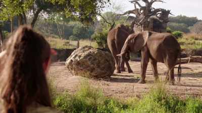 And apparently, it's not worth it...
(LAUGHS) ...so he'll keep moving on. - Magic of Disney's Animal Kingdom