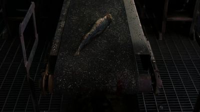 And you are new to trout farm - eXistenZ