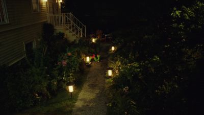 And at night with our grass gone - The Details