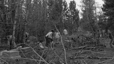 And at that time, had been
completely captured by the forest. - Jews of the Wild West