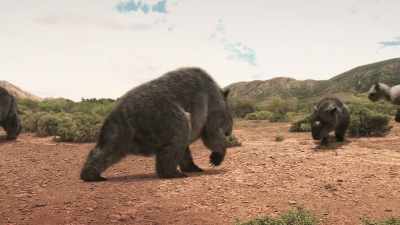 And as Australia became drier, - Modern Dinosaurs