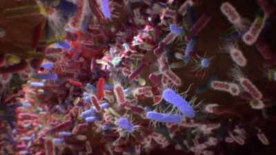 And because bacteria
and human cells are constantly touching, - Human: The World Within