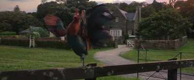 And be present and involved! - Peter Rabbit