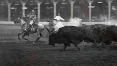 And he became the Great Plains'
first roadside hustler. - The American Buffalo