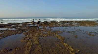 - And being stranded
in these tide pools, - Kings of Pain
