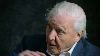 And beyond that strip, - David Attenborough: A Life on Our Planet