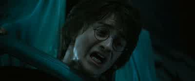 And blood of the enemy... - Harry Potter and the Goblet of Fire