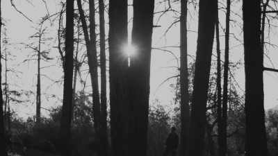 And while Bobby was shooting the gun
in the woods to keep me occupied... - The Keepers