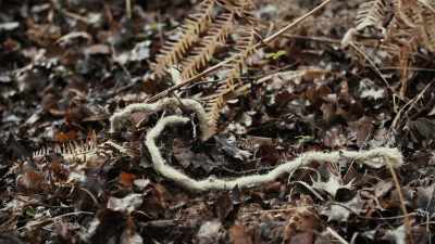 And body number
four was discovered - World's Most Evil Killers